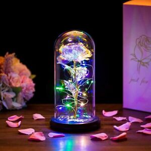 New ListingMother's Day Eternal Rose Flower LED Enchanted Galaxy Rose Girlfriend Gifts