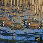 AVERY OUTDOORS GREENHEAD GEAR GHG PRO GRADE BLUE WINGED TEAL DUCK DECOYS