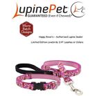 Lupine Lifetime LIMITED EDITION Dog Collar or Leash- 3/4