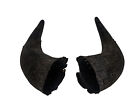 Matched Pair of #2 Grade Real North American Buffalo Horns (576-2M2-AS) 9UL3