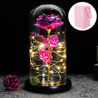 Pink Rose LED Light Glass Flower Gift for Wife Mom Her Xmas Girlfriend Birthday