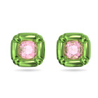 Swarovski Dulcis Stud Earrings Pierced Green Pink #5600778 New Authentic  $165