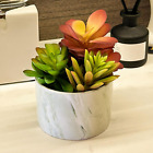 Karlliu Artificial Plants 3 Cute Colourful Succulents in Ceramic Planter