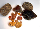 Lot of raw Amber nuggets genuine Baltic Amber unprocessed 100 gr