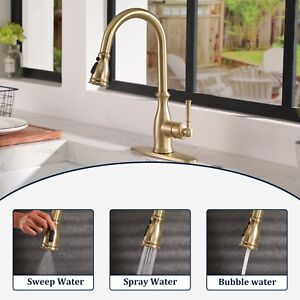 Clihome Vintage Single Handle Kitchen Faucet Pull Down Sprayer with Brush