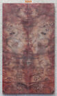 Stabilized Faded Copper Maple Lace Burl knife scales #5203, gun grips, microwood