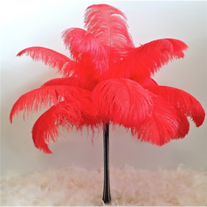 10 pcs 45-50 cm/18-20 inch Hard Rod high quality Ostrich Feathers Party Plumas