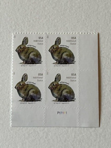 U.S. Stamp SC 5544 Brush Rabbit Plate Block of 4 2021 MNH