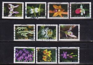 OFF paper #5445-54 Wild Orchids (used set of 10) forever 2020 _f272