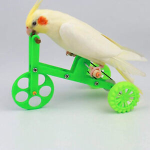 Bird Toy Exquisite Colorful Parrot Training Bike Toy Funny