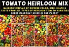 TOMATO Heirloom Mix 40 Seeds ALL TYPES NON-GMO spring summer garden RARE TASTEE!