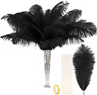 Natural Black Large Ostrich Feathers Bulk 10 Pieces - Making Kit 28 Inch Long Fe