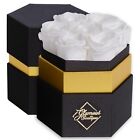 Glamour Boutique Hexagon 7-Piece  Forever  Real Rose  - Preserved Roses in a Box