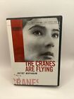 Criterion Collection: the Cranes Are Flying [Subtitled] (DVD)