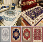 Traditional Floral Medallion Area Rug Luxury Living Room Carpet Throw Runner Mat
