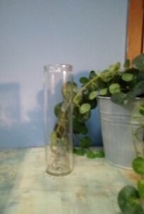 Clear glass cylinder bud vase.  8” tall and 2” across the top.
