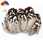 3-8cm / 2-3inch Natural Brown Plume Diy 10-100 PCS Pheasant belly Feathers