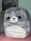 Squishmallows Gustavus The Gray Dog 20” BNWT Canadian Release