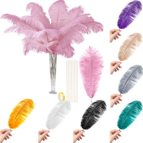 Ostrich Feathers Bulk - Making Kit 10Pcs 28 inch Large Feathers for Party Decor