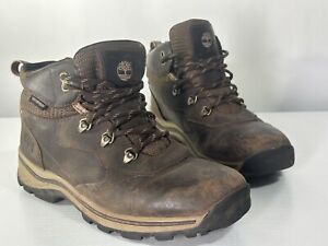 Timberland Shoes Boys 6.5 Boots Lace Up Hiking Outdoor Work Brown 66961