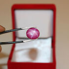 Certified Natural Pink Star Ruby 5.3 Ct. 6 Rays Oval Cabochon Loose Gemstone