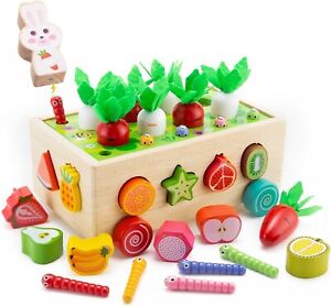 Montessori Wooden Toys for Baby Boys Girls Age 2 3 4 Year Old