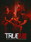 True Blood: The Complete Fourth Season (DVD, 2012, 5-Disc Set)