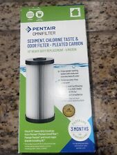 Pentair omnifilter Sediment Chlorine Test & Odor Filter Pleated Carb4.5 X 10New