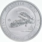 2020 Canada 8 Silver Dollars Bald Eagle 1 1/2 oz 1.5 Silver Canadian $8