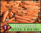 6,300+ Carrot Seeds [Little Finger] Vegetable Gardening Seed, Heirloom, Non-GMO