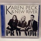 Karen Peck & New River Pray Now CD 2015 Daywind Records New Southern Gospel