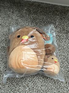 New Terry the Turkey 8” Squishmallow & 3.5” Clip - NWT - Thanksgiving