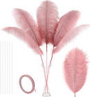Pink Long Ostrich Feathers - 10Pcs Making Kit 34Inch Extra Large Ostrich Feather