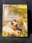 Happy Anniversary Greeting Card Cat Kitty Lovers All You Need is Love