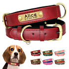 Personalized Leather Padded Dog Collar Custom Name Engraved for Small Large Dogs