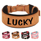 Wide Leather Padded Dog Collar Personalized with Name Rottweiler Labrador M-XL