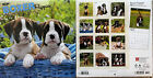 2024 Boxer Puppies 12x12 Wall Calendar