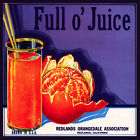 Vintage Decoration  Design Quality Poster.Orange Juice.Room Cafe Decor.358
