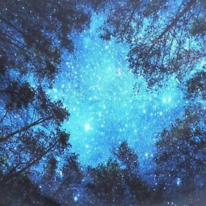 Night Forest Tapestry Starry Sky Wall Hanging Art Tree Bedspread Home Decor USA