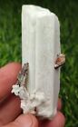 Albite Perfect Specimen Combined With Muscovite Mica, Having Complete Growth-Pak
