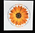 US Scott #5680 Global African Daisy Forever Stamp MNH Single Stamp