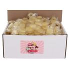 Lifesavers Hard Candy Fruit, Bulk in Box Candies (Individual Wrapped) Pineapple