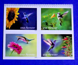 US GARDEN DELIGHTS HUMMINGBIRD FOREVER STAMPS 2024 (BLOCK OF 4) FREE SHIP!!
