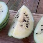 Cream Of Saskatchewan Watermelon Seeds | 3 Seeds | Non-GMO | Free Shipping 1048