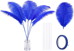 Royal Blue Ostrich Feather - 20Pcs Making Kit 22 Inch Large Ostrich Feathers for