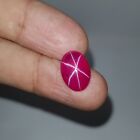 7.0 Ct Certified Natural 6 Rays Star Red Ruby Oval Cabochon Loose Gems X-791