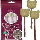 Cat Toys With Catnip 3 Catnip Toys For Cats  Catnip Lolli With Dental Cleaning