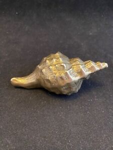 New ListingVINTAGE BRASS CONCH SHELL SOLID APPROXIMATELY 4 1/2 X 2 1/2 GORGEOUS!