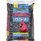 Pennington Select Black Oil Sunflower Seed Wild Bird Feed, 40 lb. 1 Pack
