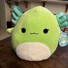 Squishmallow Mipsy the GREEN Axolotl 12 inch Hard to Find Plush NEW SHIPS FREE